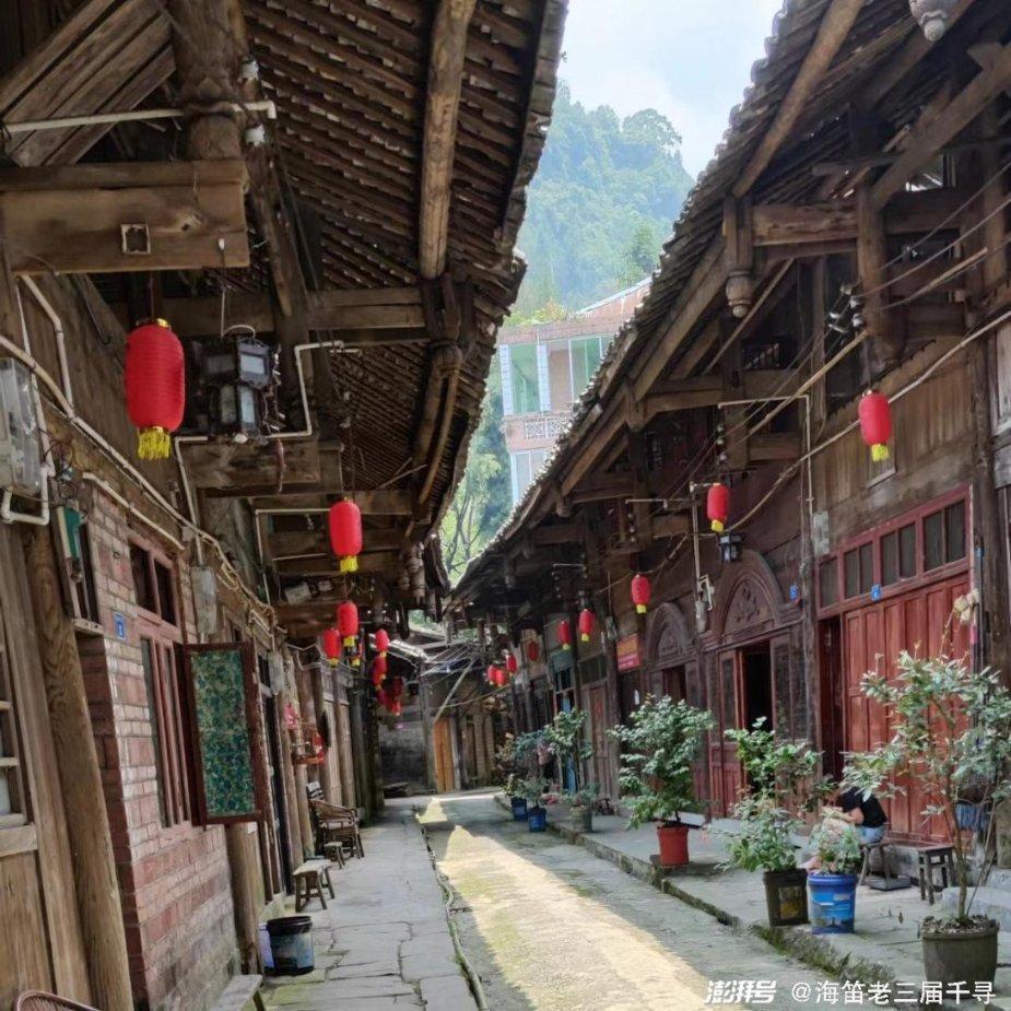 急速变色龙